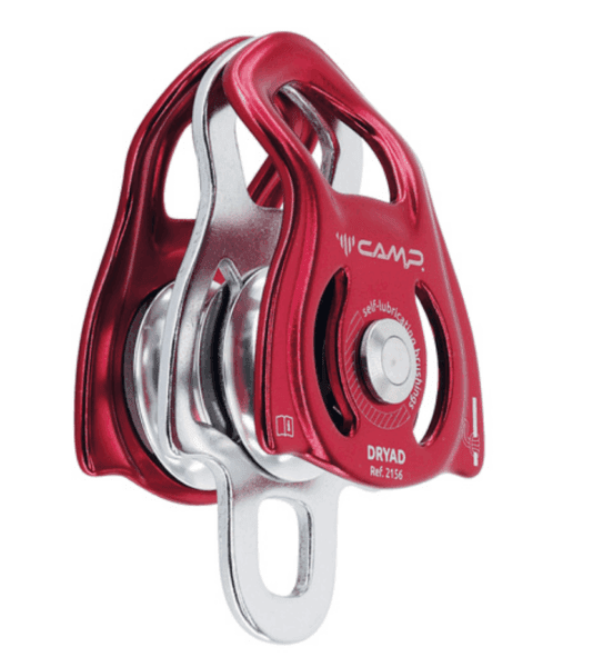 CAMP DRYAD