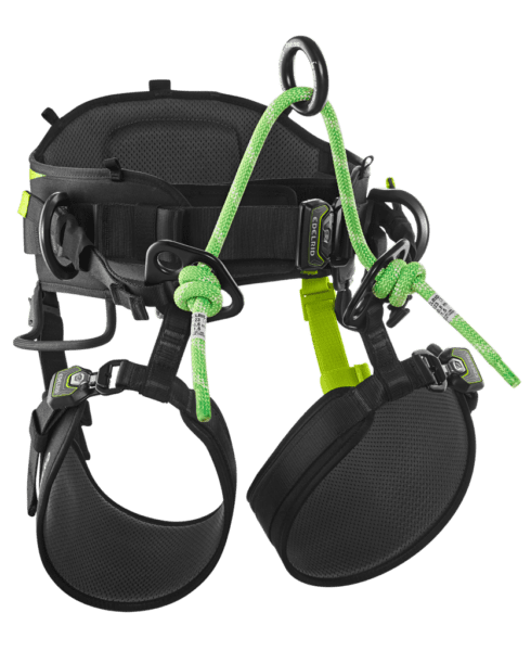 EDELRID TREERAPTOR HARNESS