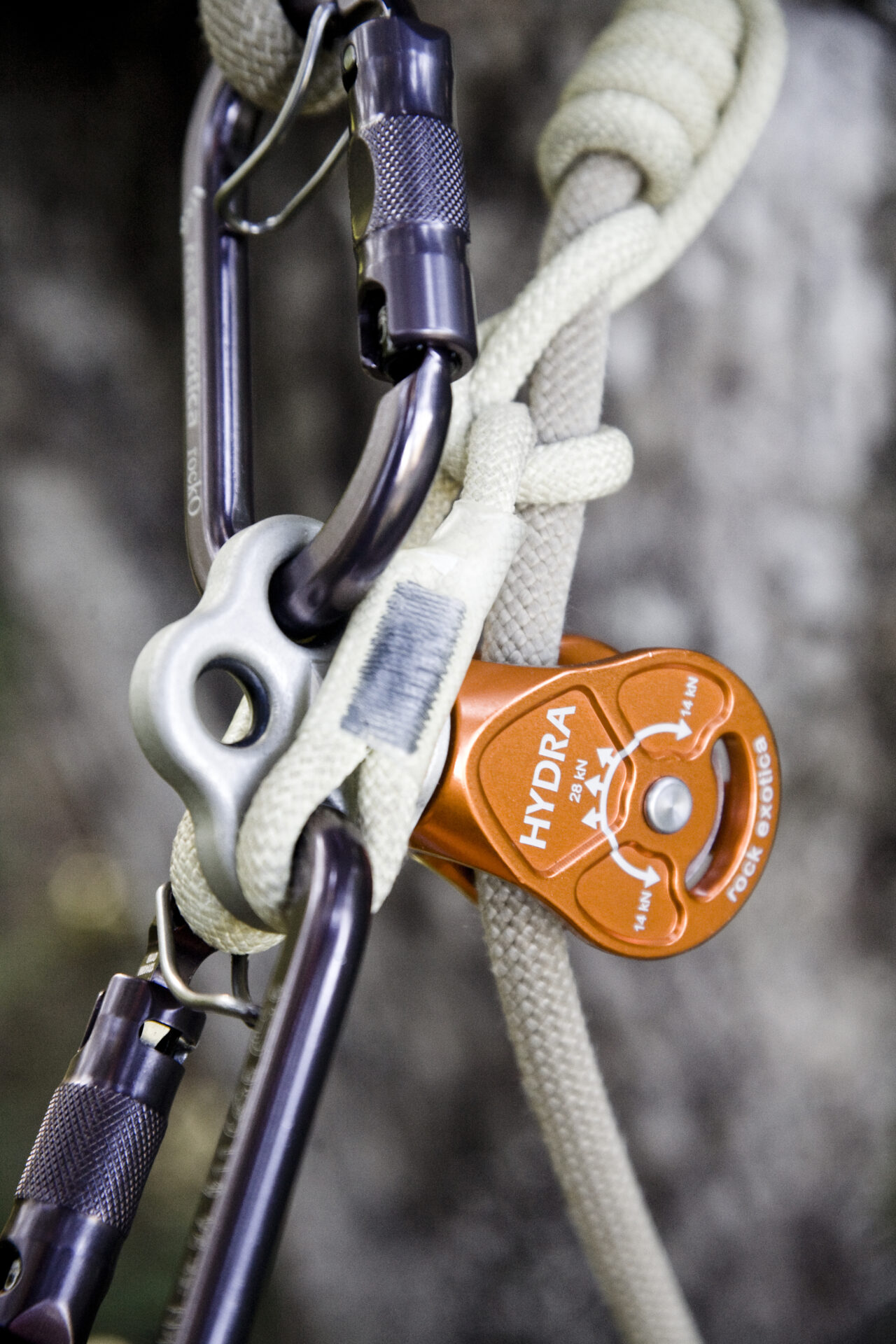 Rock Exotica Hydra - Image 4