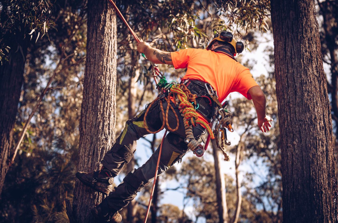 Clogger Zero Gen2 Light and Cool Men's Arborist UL Chainsaw Pants - Image 12