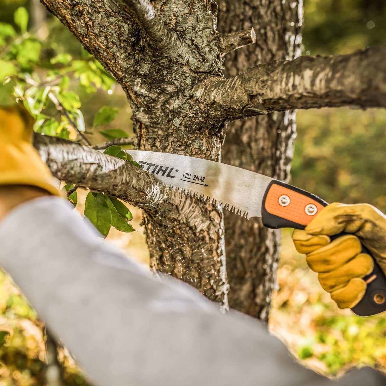 PS 70 Arboriculture Saw - Image 3