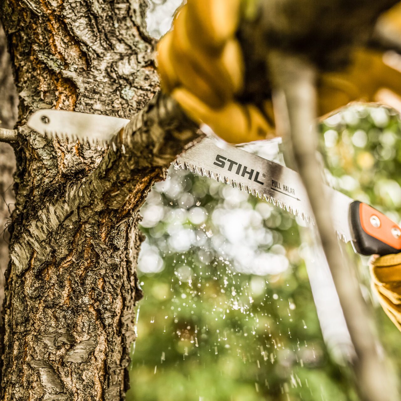 PS 70 Arboriculture Saw - Image 2