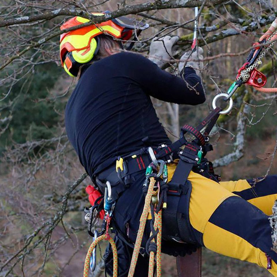 Tree Austria Pro Arborist Harness - Image 4