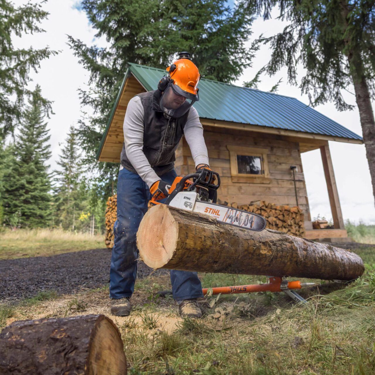 MS 250 Chainsaw - Image 5