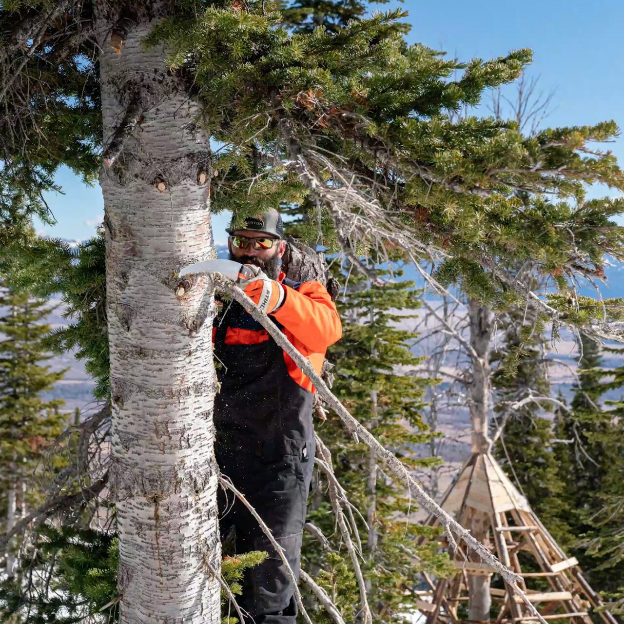 PS 90 Arboriculture Saw - Image 2