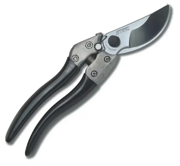 PP 80