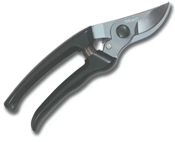 PP 30
