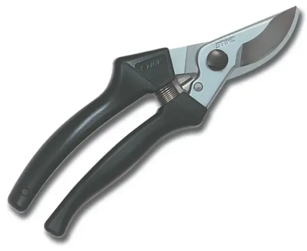 PP 40